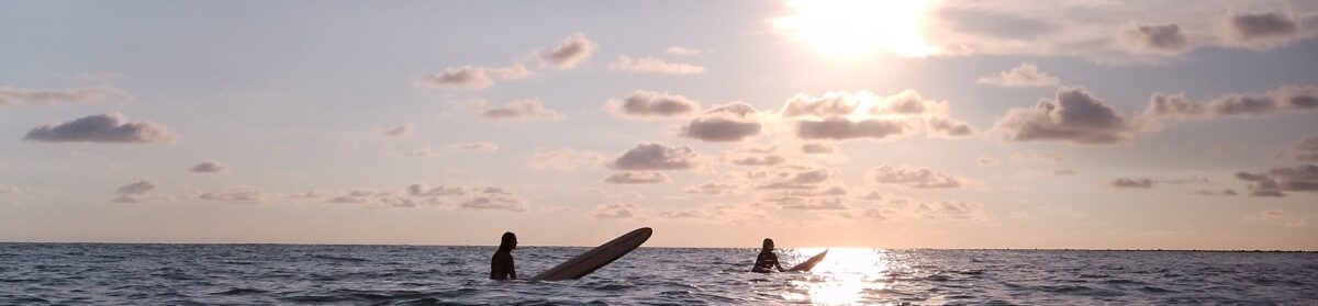 Professional Portfolio Addison Witkowski